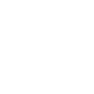 lacosta favicon